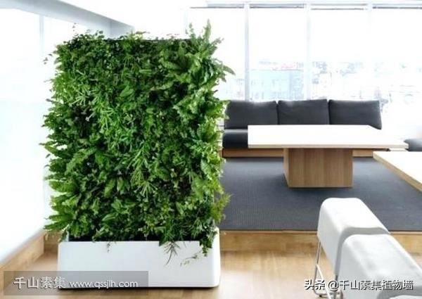 室内墙壁软装搭配效果图,室内墙仿真植物软装搭配