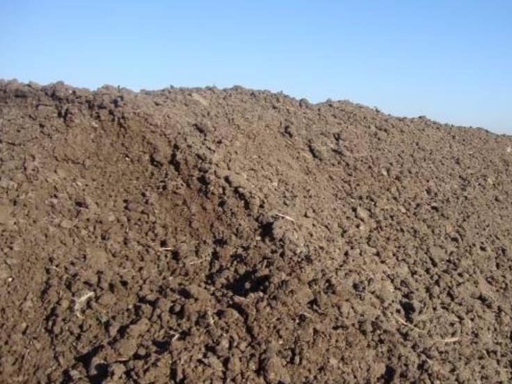 河北腐熟鸡粪有机肥的简单方法,鸡粪怎样发酵最简单要掺土吗