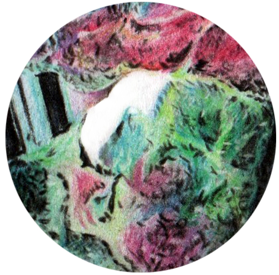 彩铅玻璃质感,彩铅物体背光面上色技法规律讲解