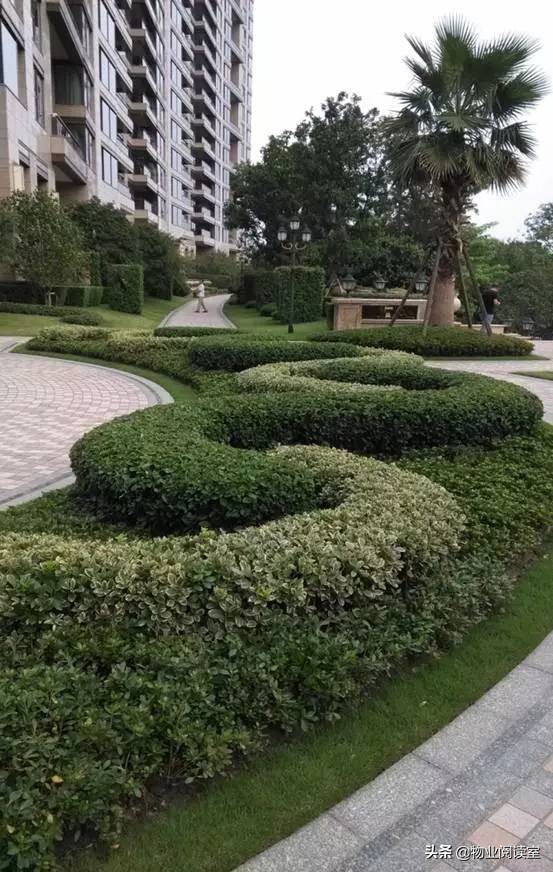 小区绿化日常养护工作内容,小区绿化养护多少钱一个平方