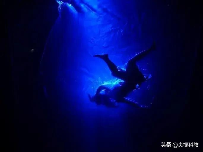 情深不寿？小心“七情”正在偷走你的健康