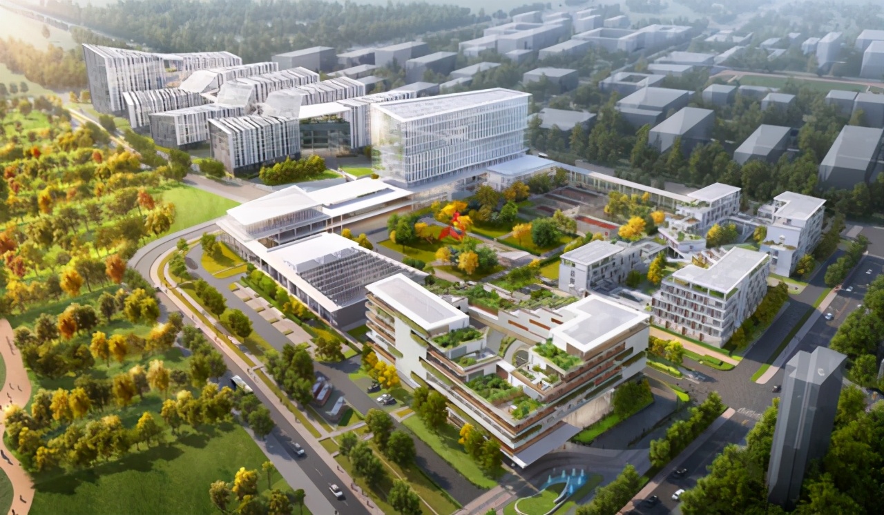 2023年衢州楼市情况,衢州2023人口数量增长