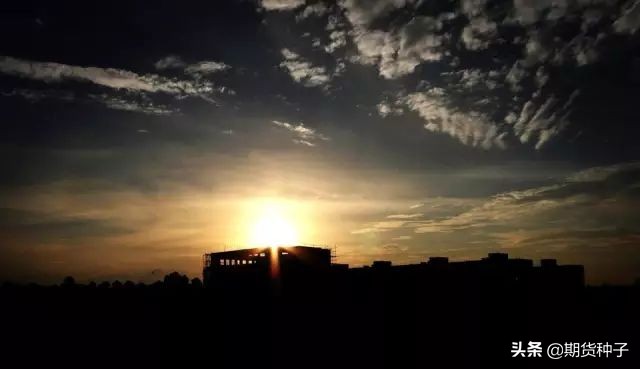 恰恰用心时恰恰无心表达了什么,恰恰用心时原文