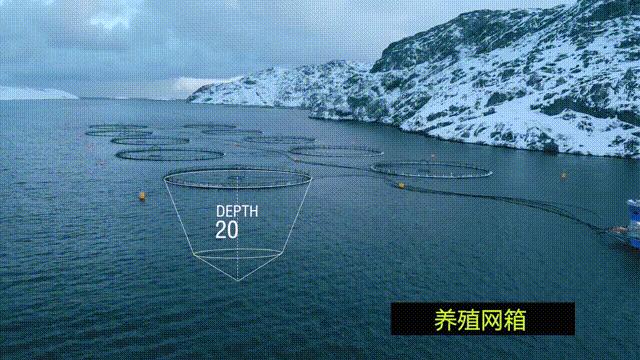 网箱养鱼死了,网箱养鱼生财之路