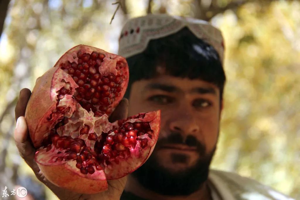 牛街属于南城吗,牛街名字的由来