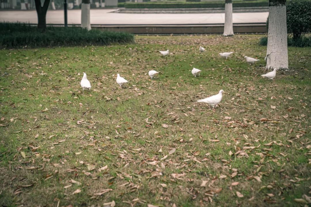 父母约会时，玩得比你野多了