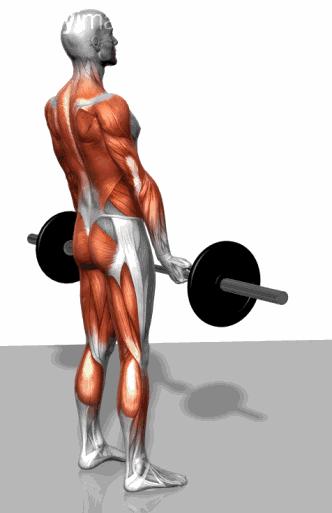 最简单锻炼腿部肌肉的方法,锻炼腿部肌肉最有效的10个动作