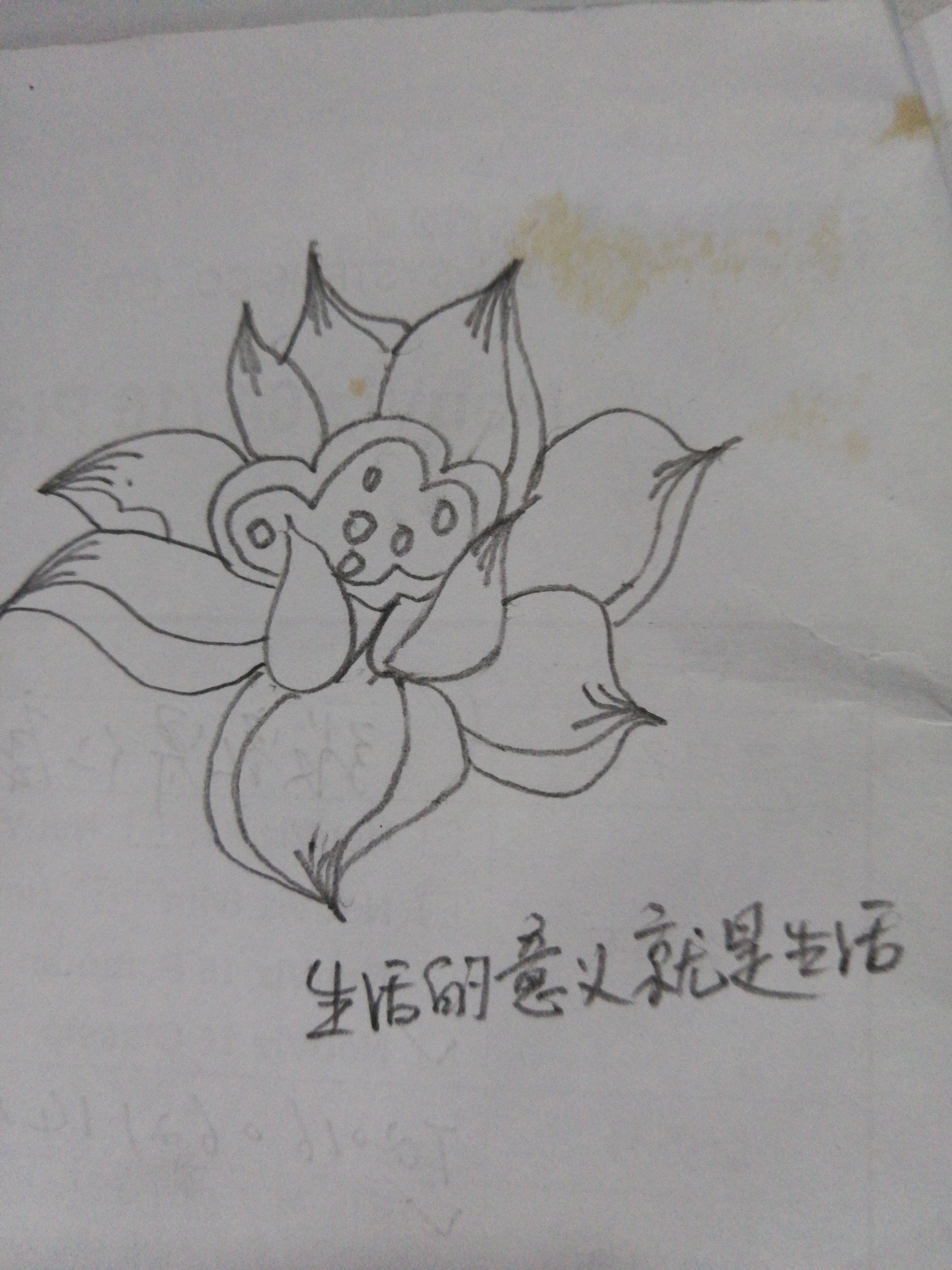 荷花简笔画10000例图片,蜻蜓的简笔画和荷花的简笔画