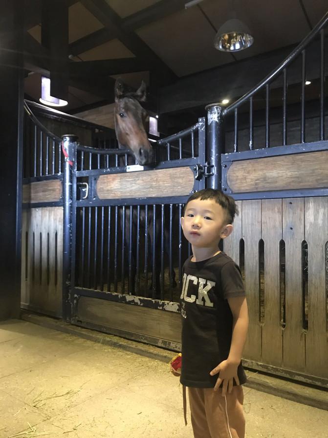 一家四口暑假日常之去游乐场,四川亲子游5日游8月游记