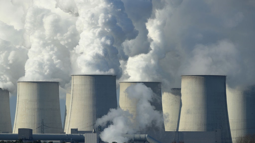 4000万年前地球生物,2000万年前冰河世纪消失的动物