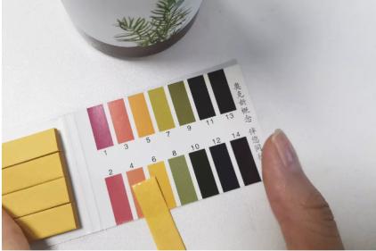 油头救星澳洲茶树洗发水,茶树精油酸性顺滑洗发水