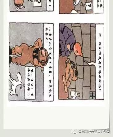 丁丁和丁丁历险记论文,丁丁历险记丁丁的服装