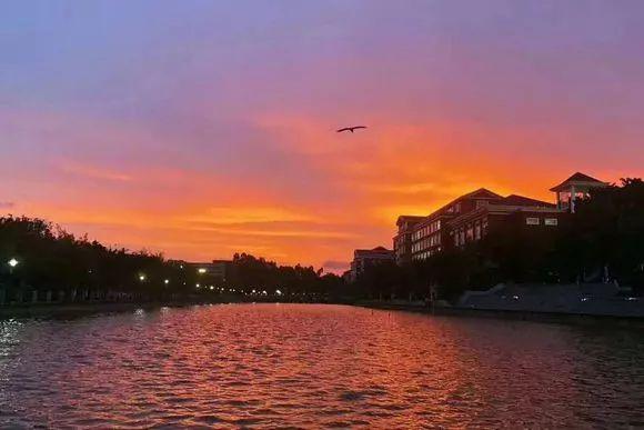 深职院在全世界排多少名,深职院全国最强大专