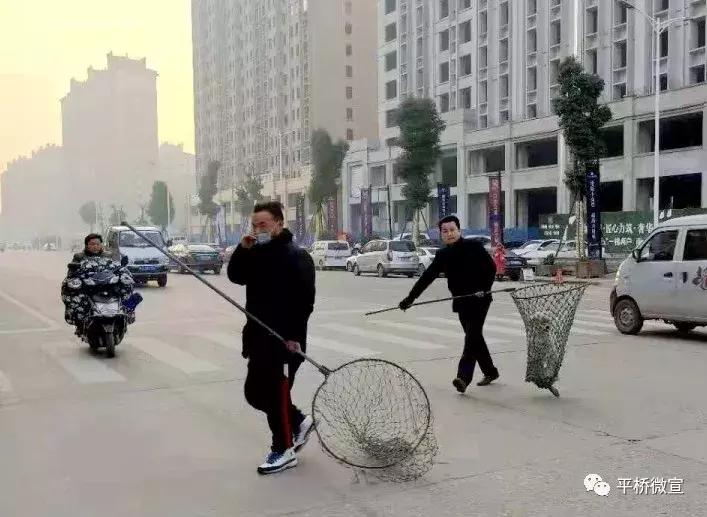 动真格整治方案,动真格整改落实