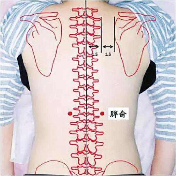 慢性支气管炎的中医艾灸调理