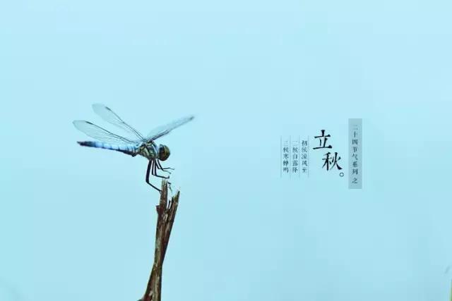 关于立秋的重要事,立秋关于立秋你知道多少