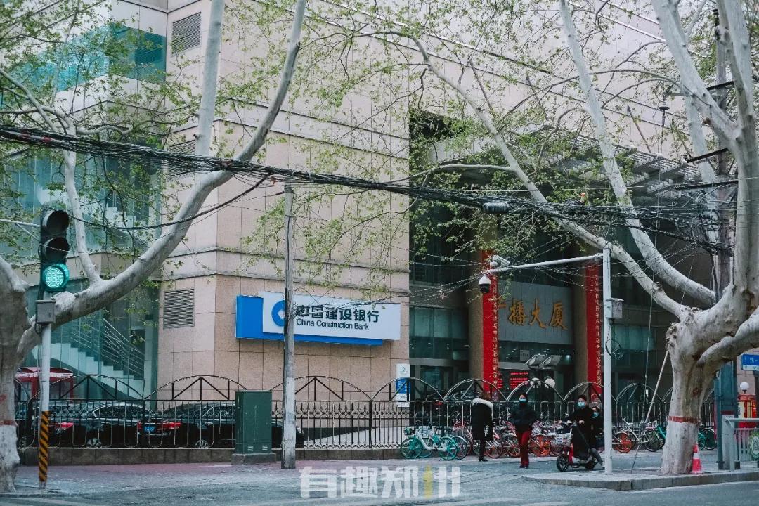 春雨落在叶子上,春雨落在树叶上的详细描写