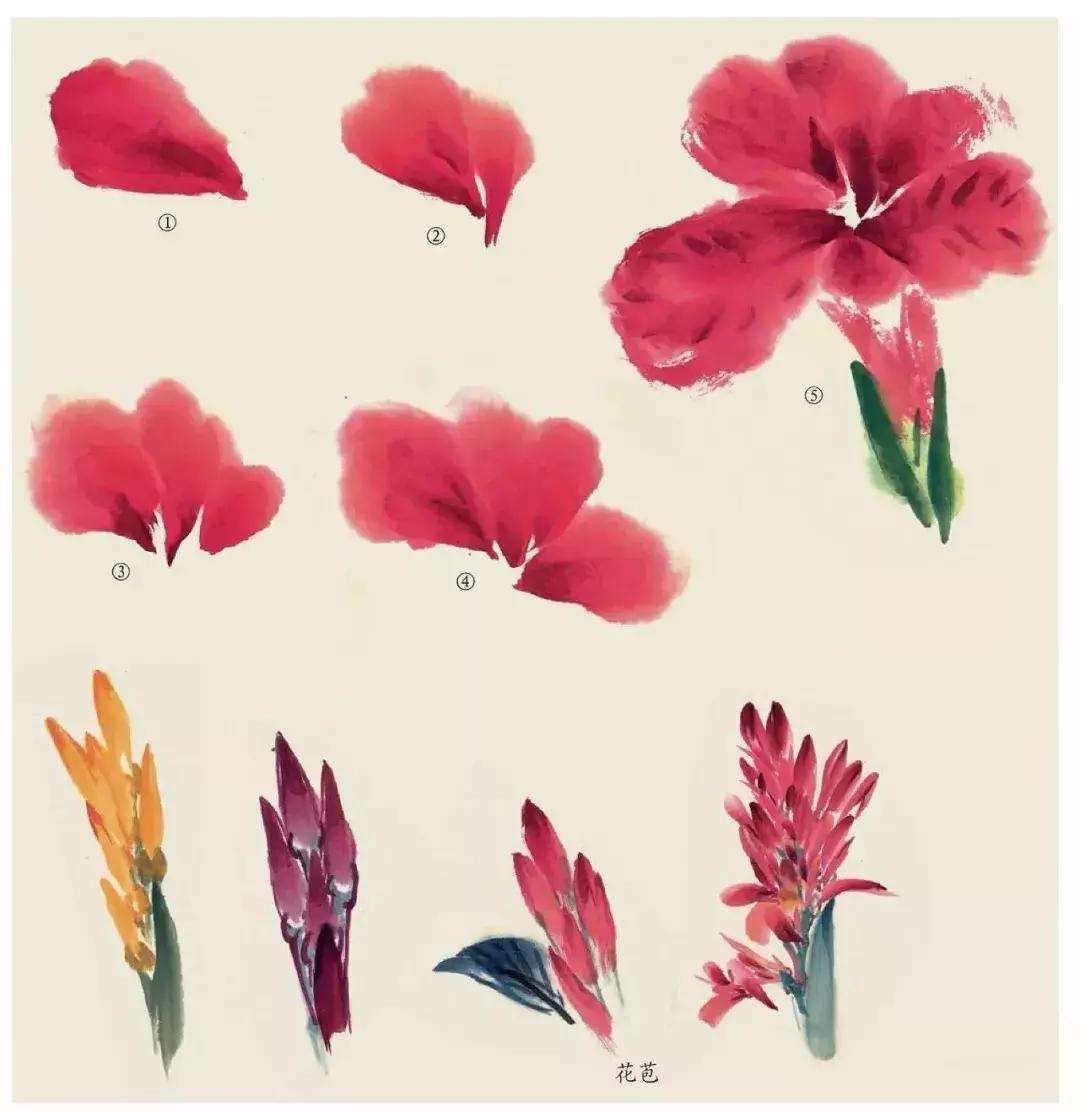 国画中各种花卉的画法,国画花卉画法步骤视频教程