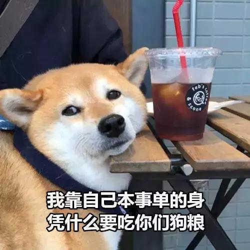 十对荧幕最甜的cp (那些在剧里的超甜cp)