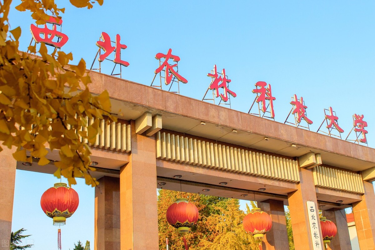 平行志愿退档征集志愿没录上咋办,河北平行志愿105%提档会退档5%吗