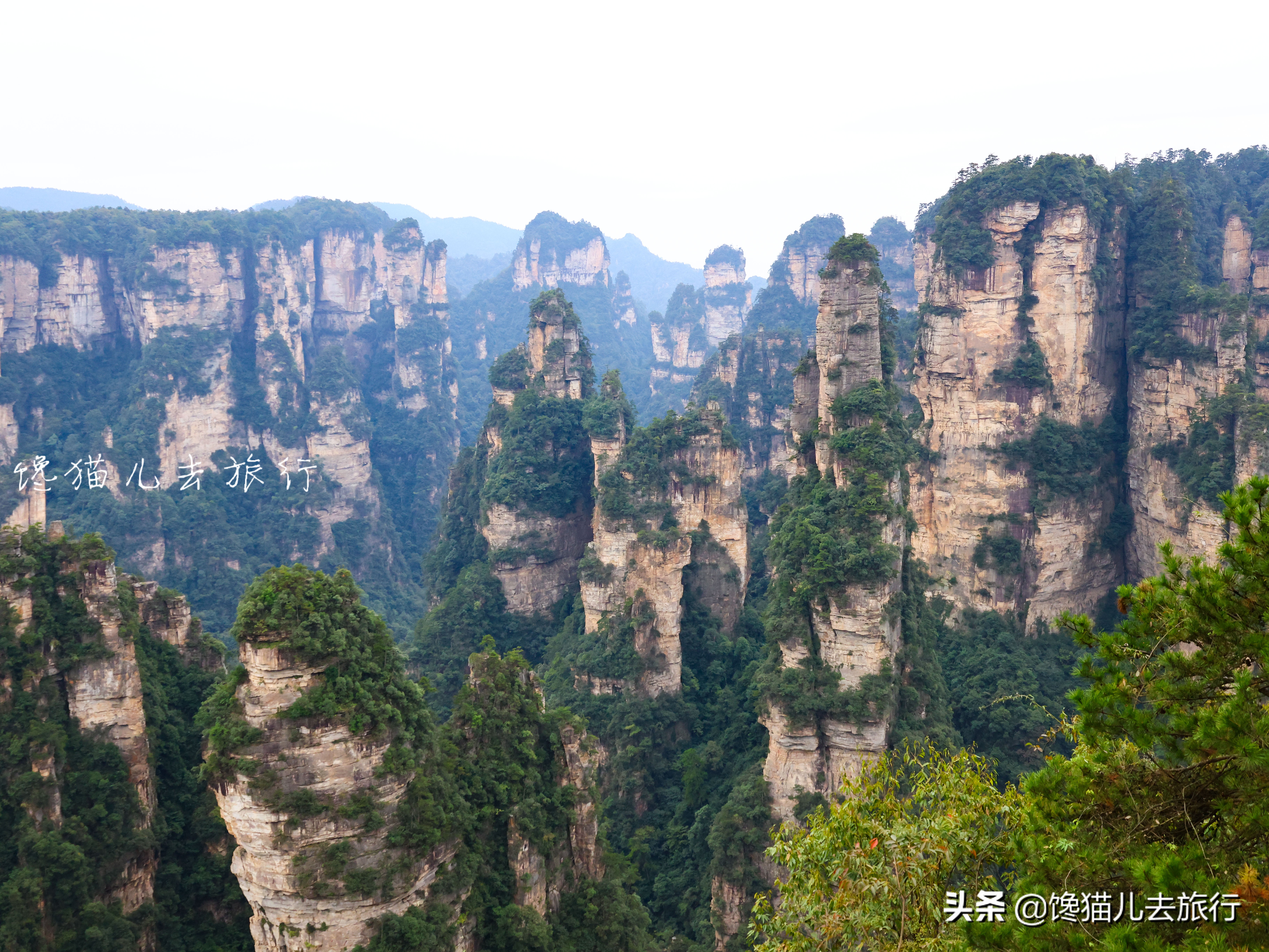 国内旅游自由行好还是跟旅游团好,国内自由行旅游攻略
