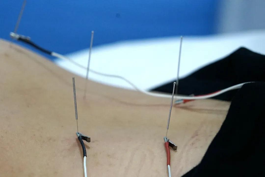 白州最好的中医,白医生的成长经历