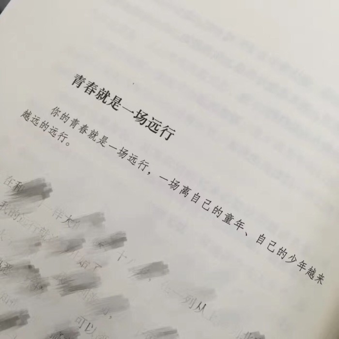 青春是一场回不去的记忆 (青春是一场渐行渐远的旅程)