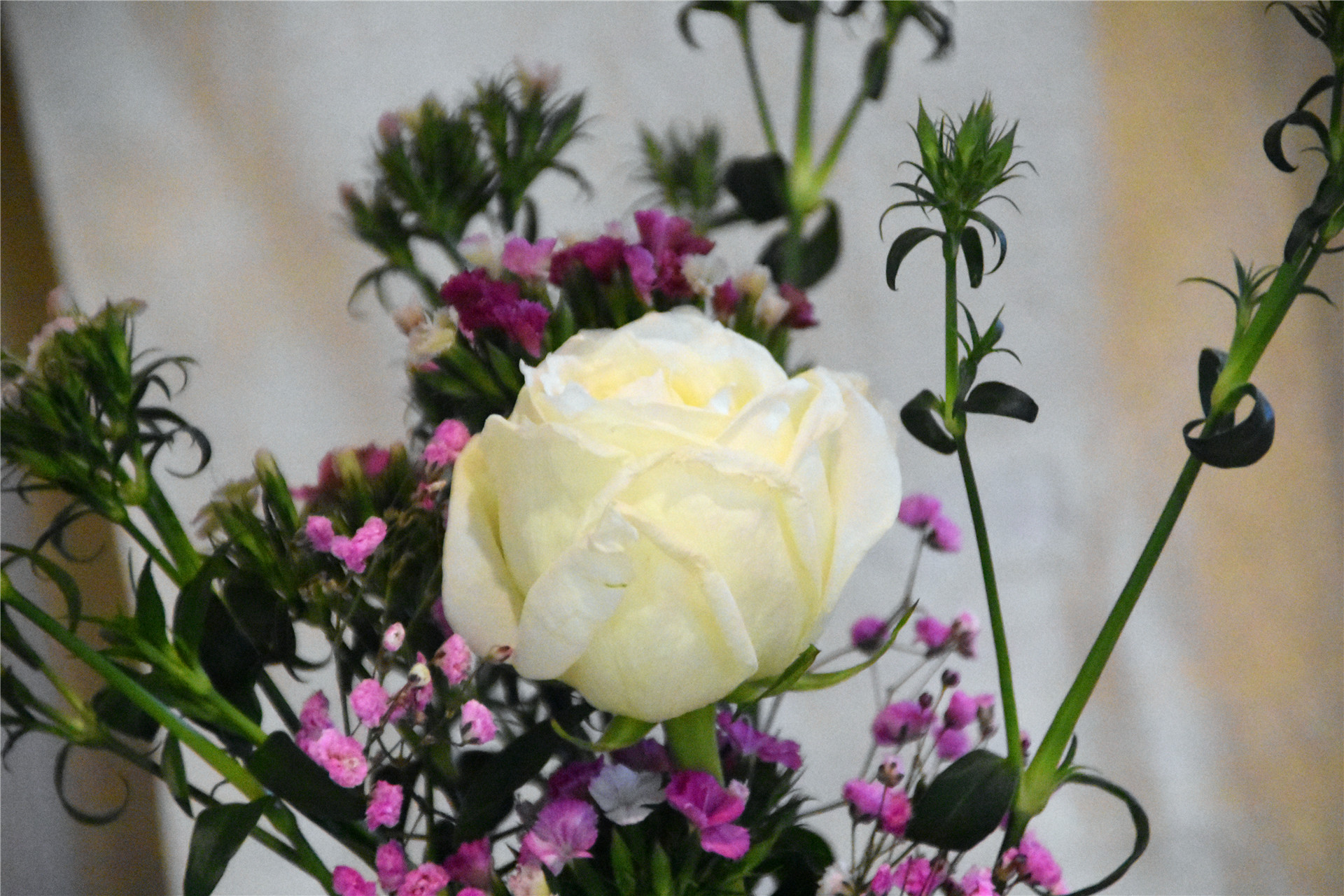 小米有品刷鞋神器,小米有品99元清洁神器