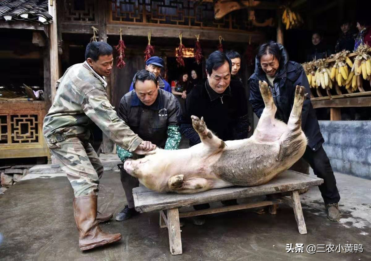 明年是辛丑年，“一日得辛，二人分六饼，九屠共猪”，啥意思？