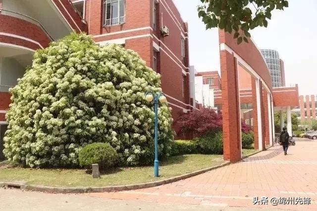 上海交大内部消息,回顾上海交大