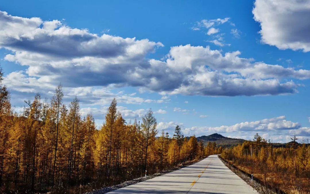 央视十大经典背景音乐,央视常用的16首经典背景音乐