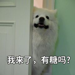 新手必学的100个表格制作,表格用文档的方式做