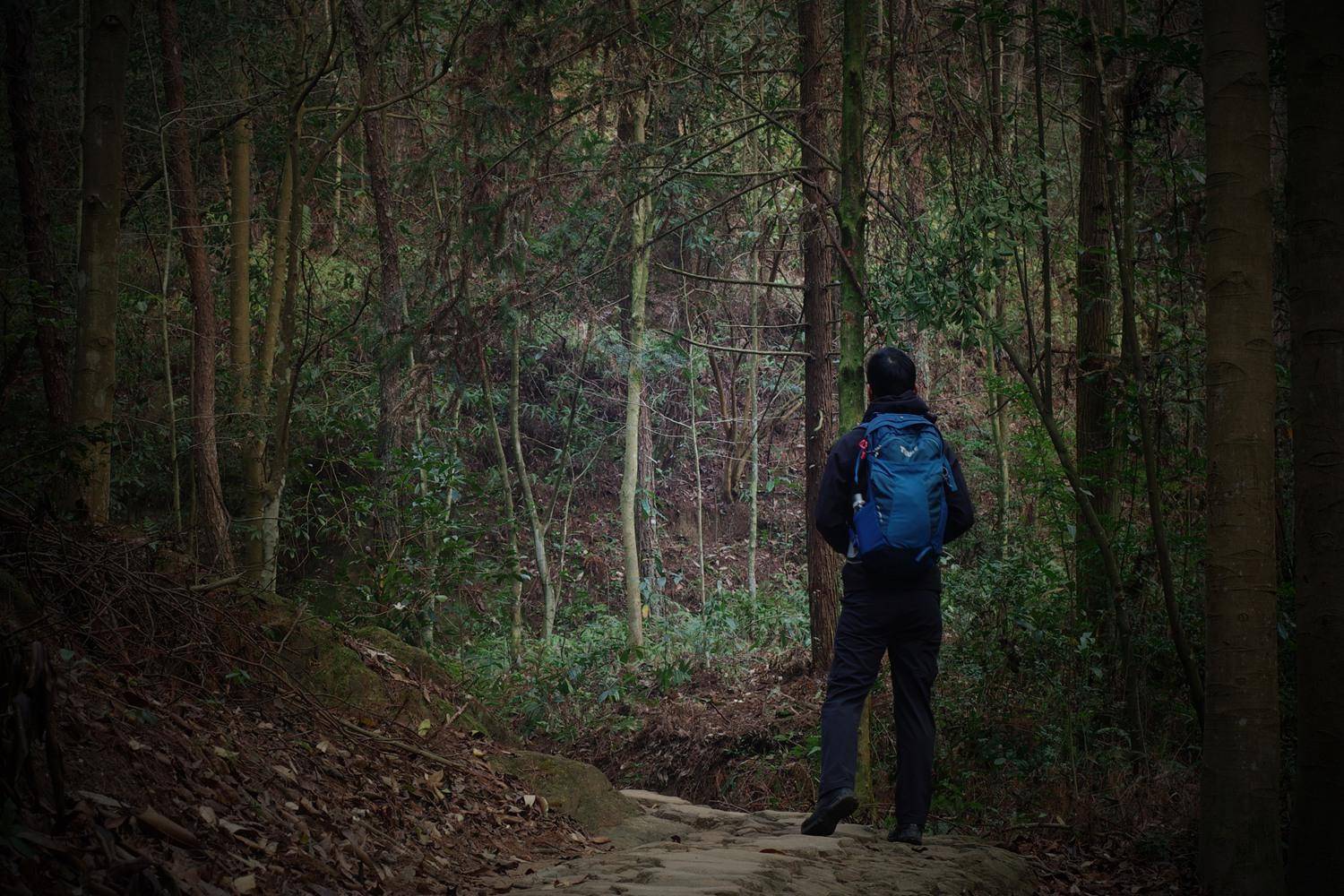 旅游/短线背包怎么选—拓乐ThuleCapstone22L背包体验记