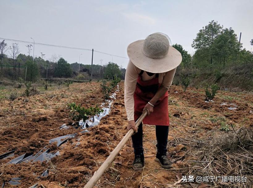 疫”年之春乡村行
