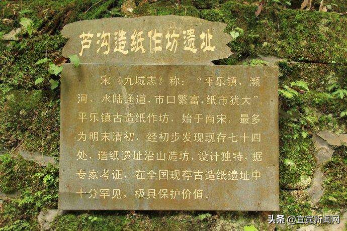 竹文化主题旅游线路,攻略看过来来顺德打卡醉美水杉