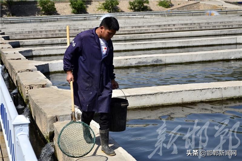 涉县索堡镇鲟鱼养殖基地,邯郸市涉县索堡镇常乐村