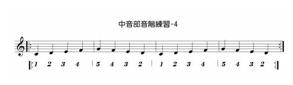 新手学口琴入门教学视频,新手学哪种口琴