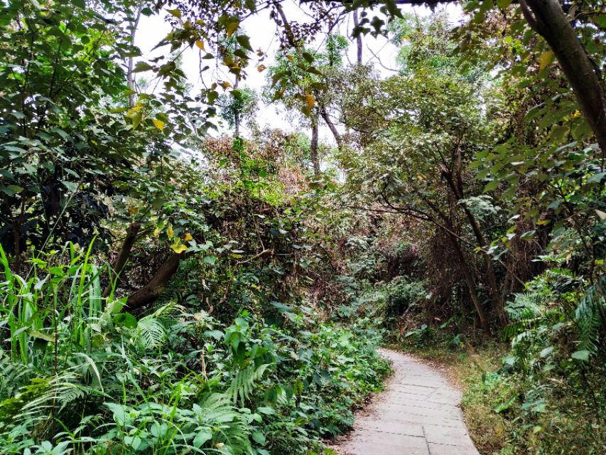 周日跟随珠海户外网板樟山游记