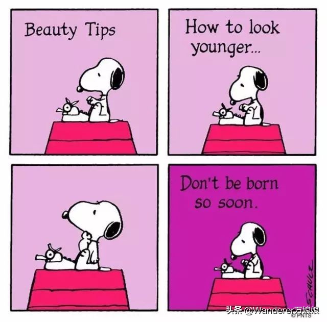 史努比漫画适合多大孩子看,史努比漫画图片