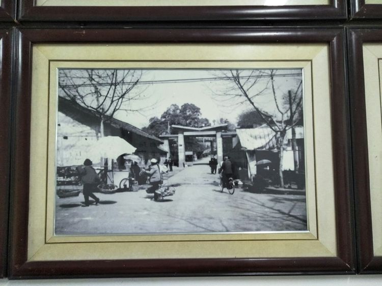 湖南常德市二中新闻,常德市二中高一