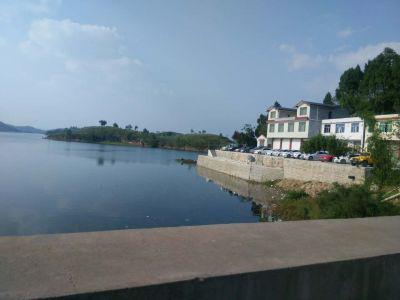 大李水库最新鱼情,各大水库近期鱼情