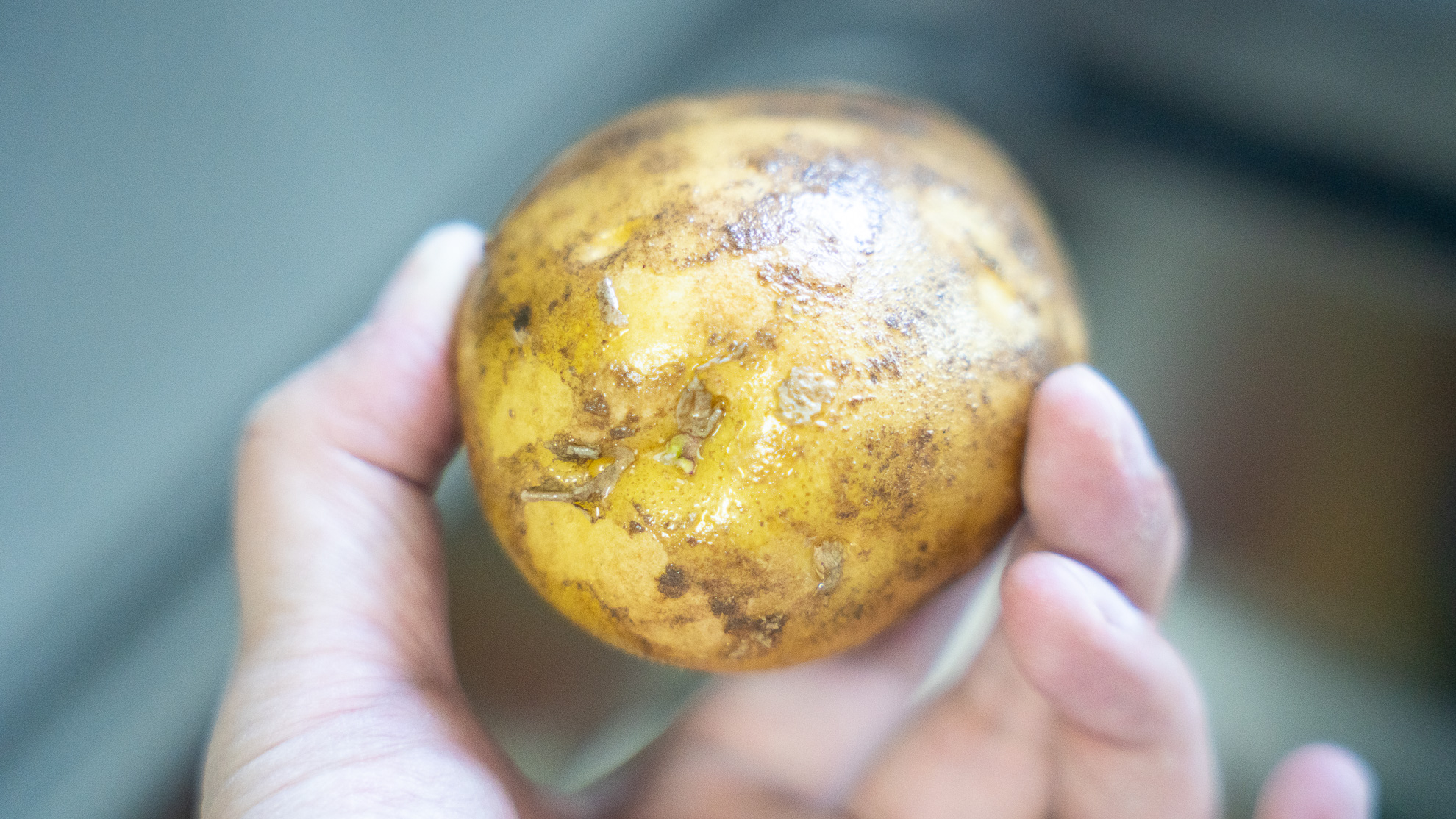 方太水槽洗碗机e5可以洗多少套,方太e5洗碗机空间