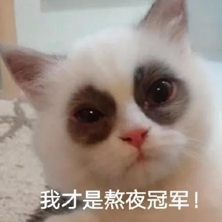 黑眼圈是不是熬夜熬的,有黑眼圈真是因为熬夜吗