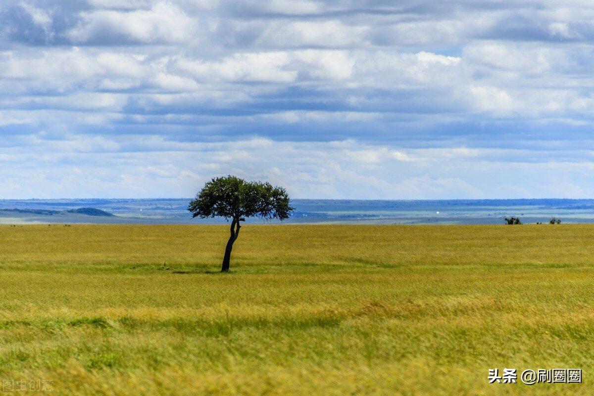 六年级作文一单元变形记范文,六上第一单元作文变形记优秀范文