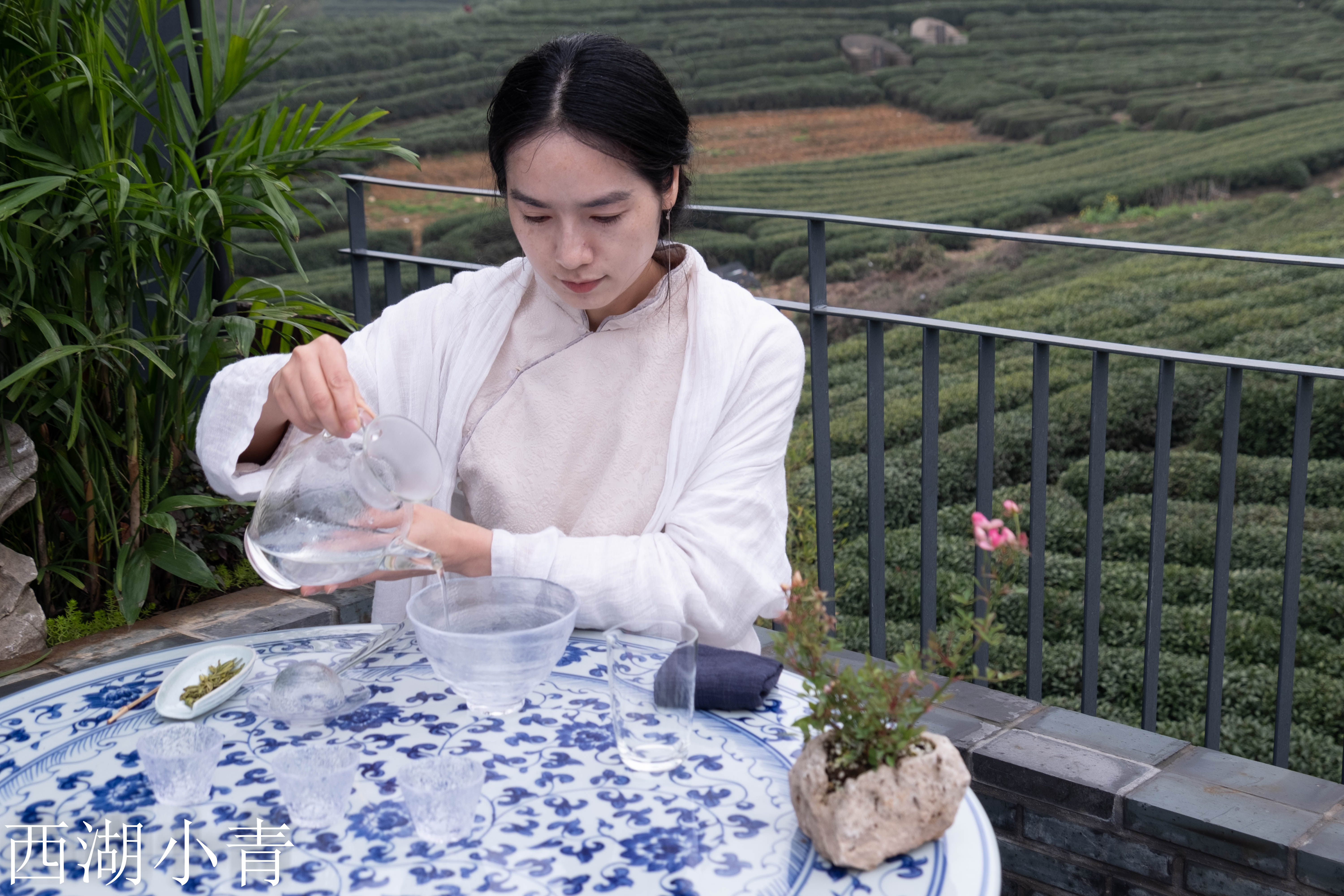 西湖龙井春茶季,龙井茶西湖明前春茶