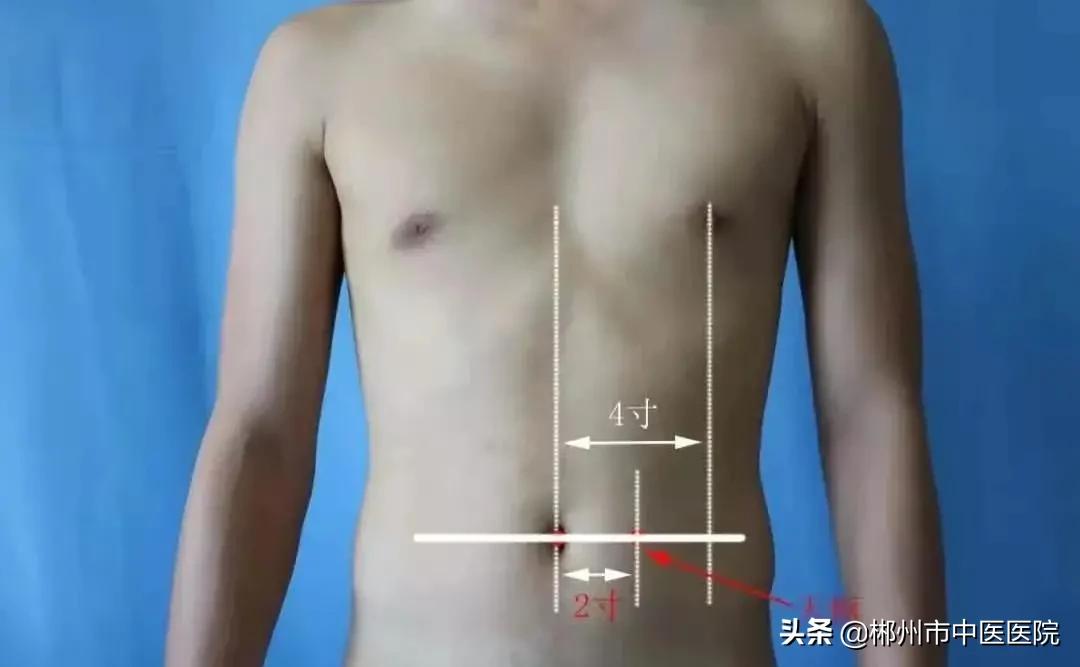 减肥何须心灵鸡汤,减肥何须饿肚子