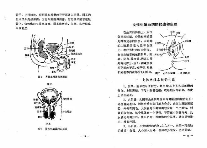 性教育在中国的现状,中国在性教育方面的现状