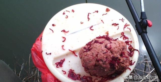 冬季钓鱼怎么使用红虫饵料,钓鱼大板鲫怎么挂饵视频