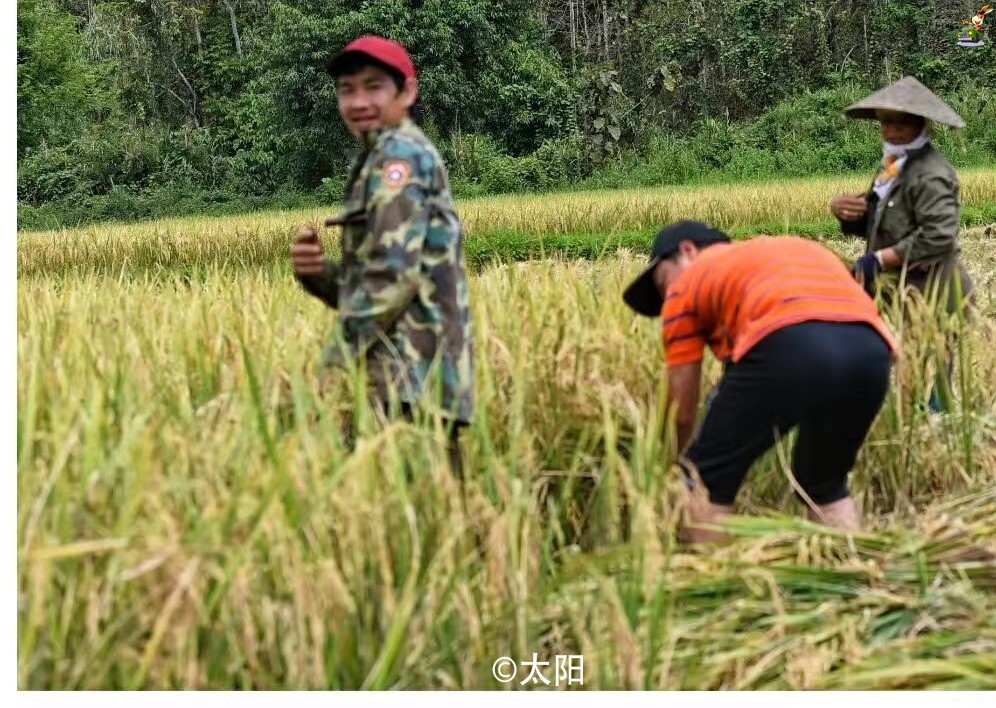 自驾游改装房车四驱可以吗,房车自驾游遇到自改房车