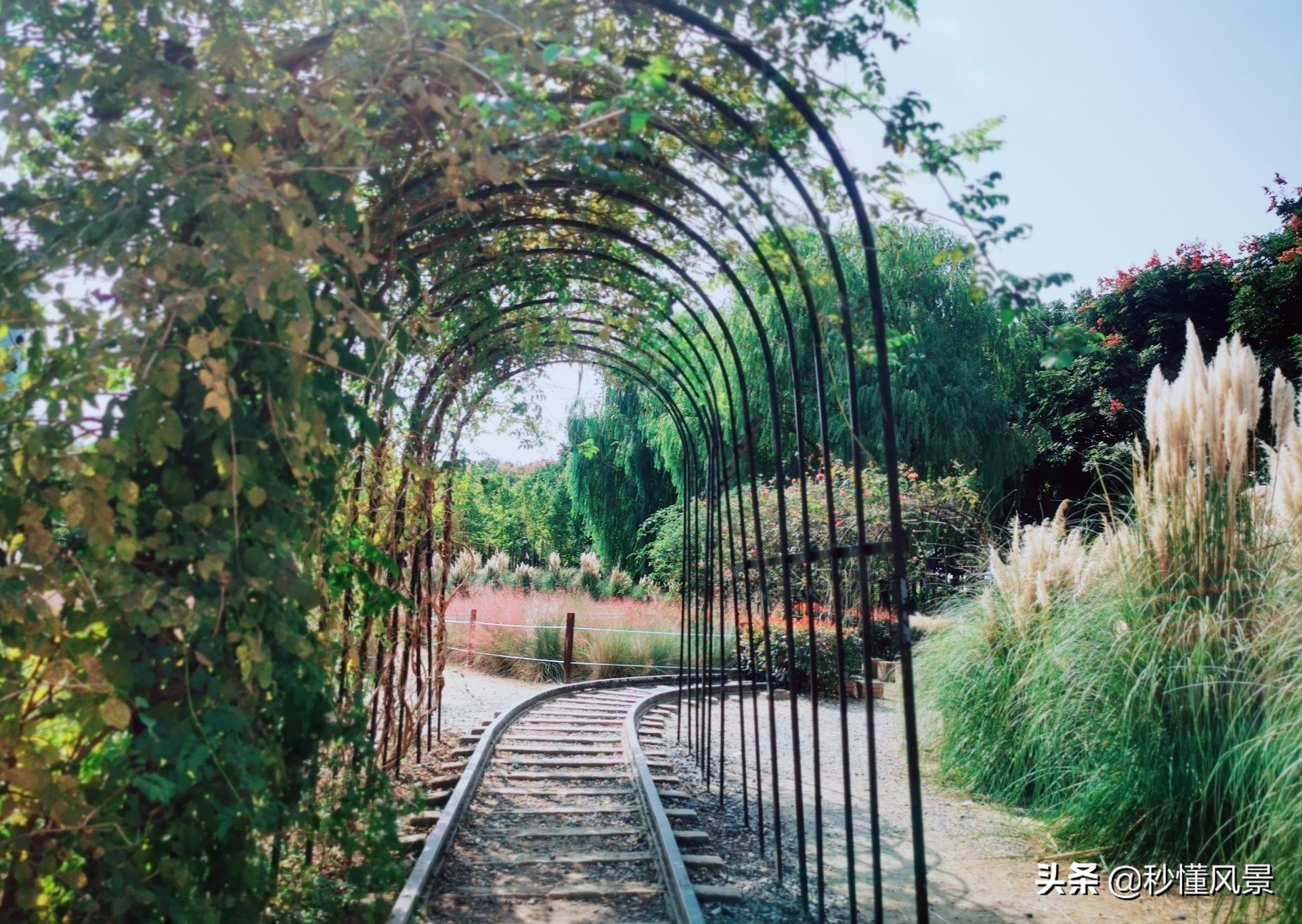 杭州钱塘江观赏地,杭州钱塘江风景最好的地方是